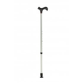 CANE (WALKING STICK)