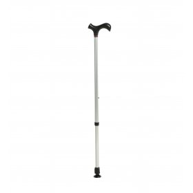 CANE (WALKING STICK)